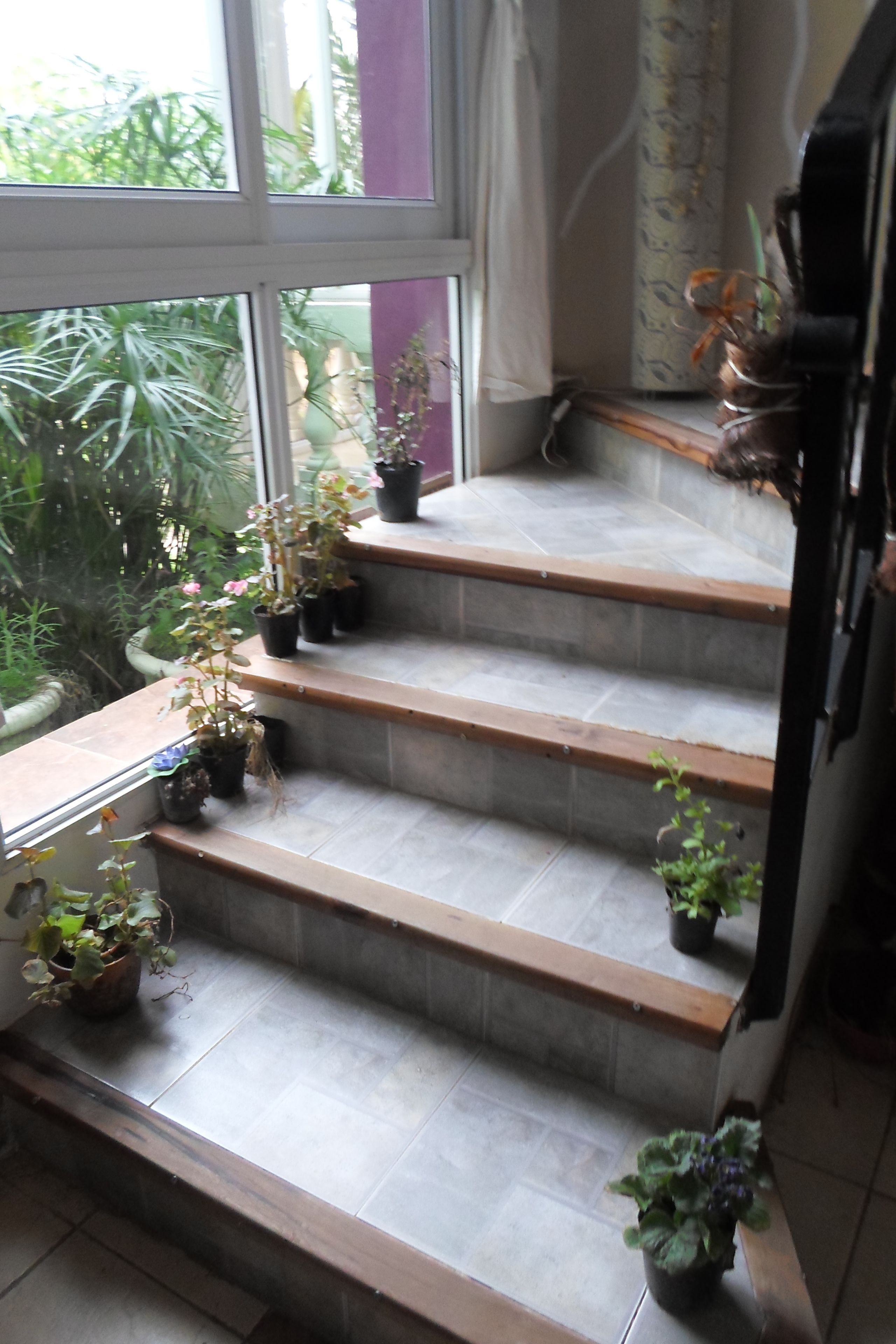 A staircase with potted plants on each step, leading to a window overlooking greenery.