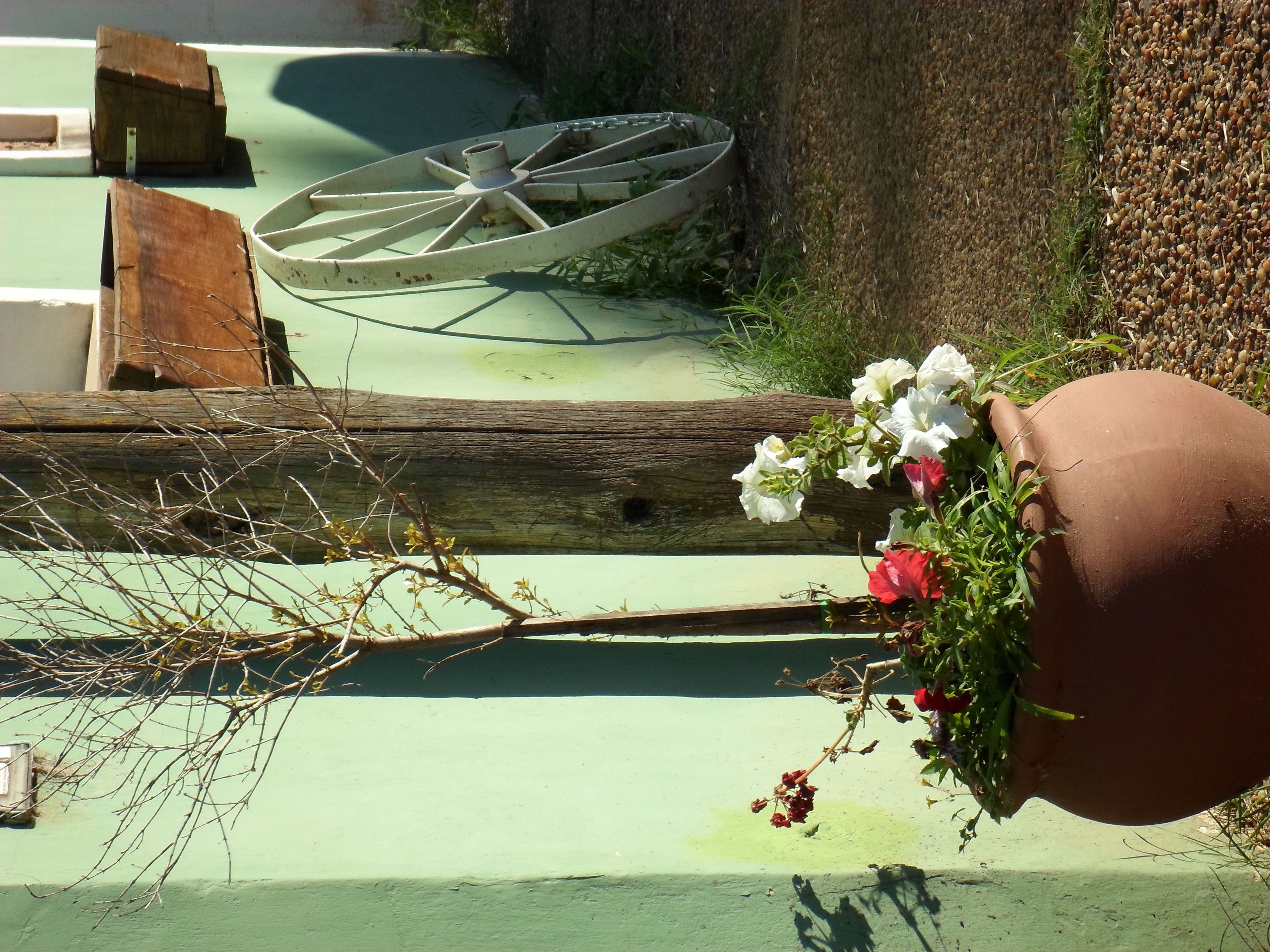 A rustic outdoor setting with a green-painted wall, a wooden wheel, and a terracotta pot with white and red flowers.