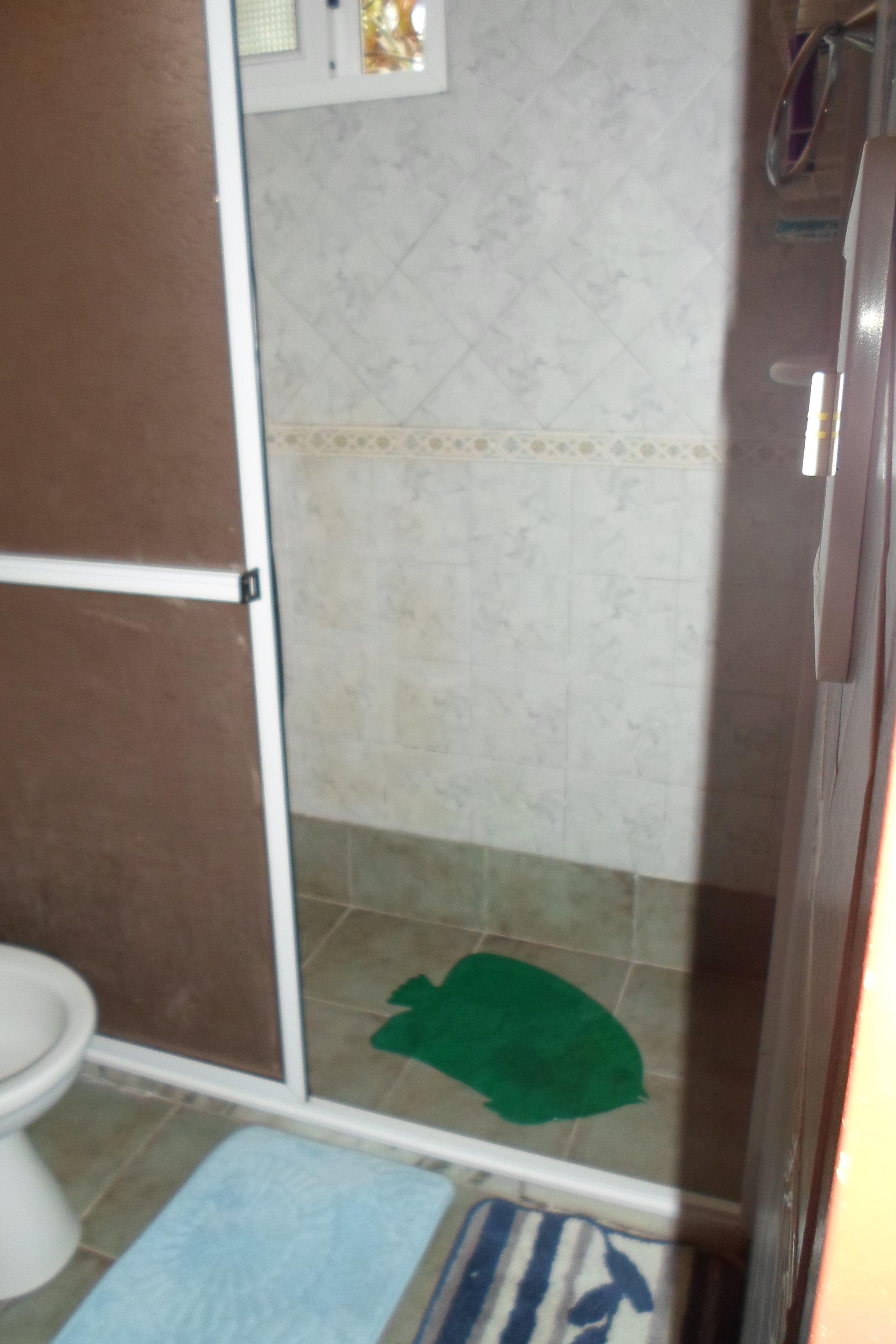 Ein Badezimmer mit Dusche, Toilette und einer grünen Matte auf dem Boden.