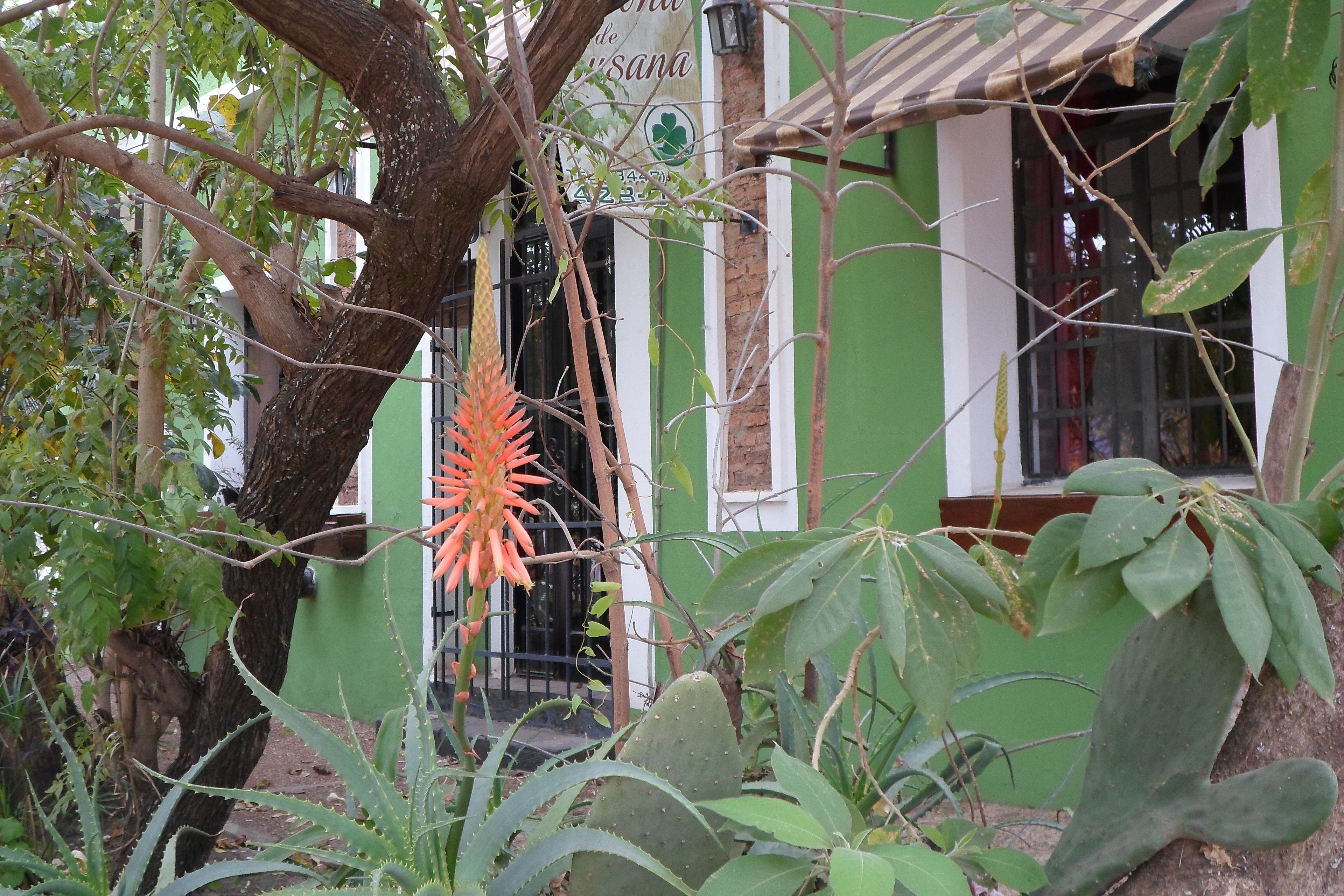 Ingresso della struttura