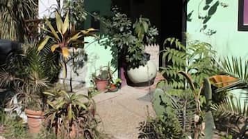 Jardin