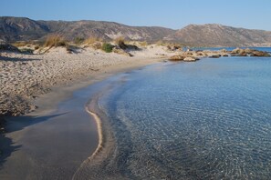 Plage à proximité, sable blanc, pêche sur place