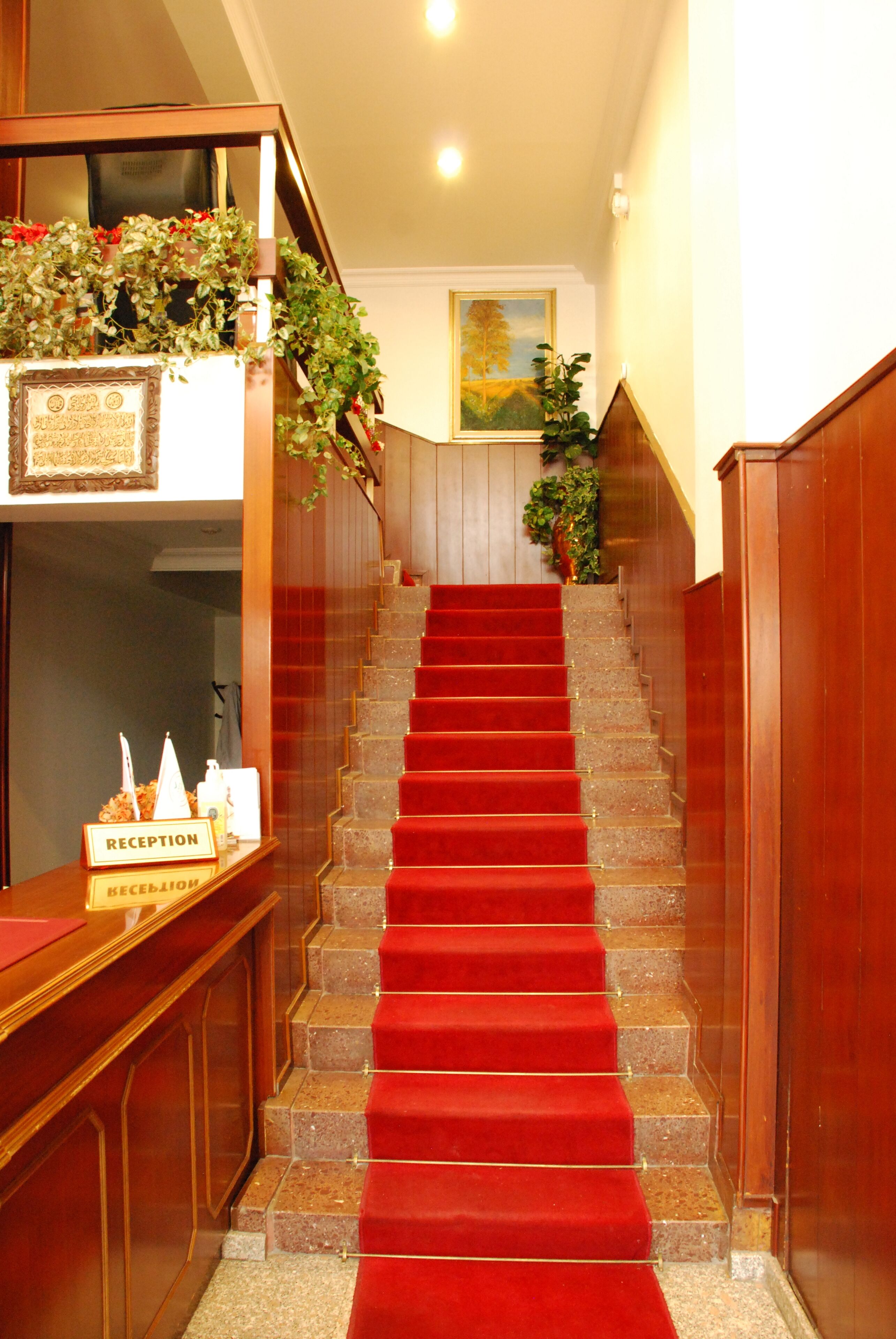 Photo - Hotel Mithat