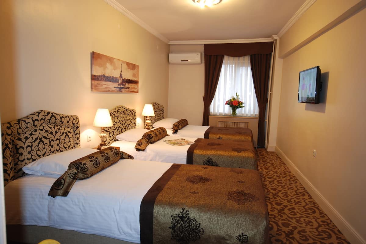 Standard Triple Room, 3 Single Beds, City View | View from room