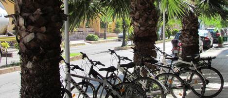Bicicletas estacionadas bajo palmeras en una acera.