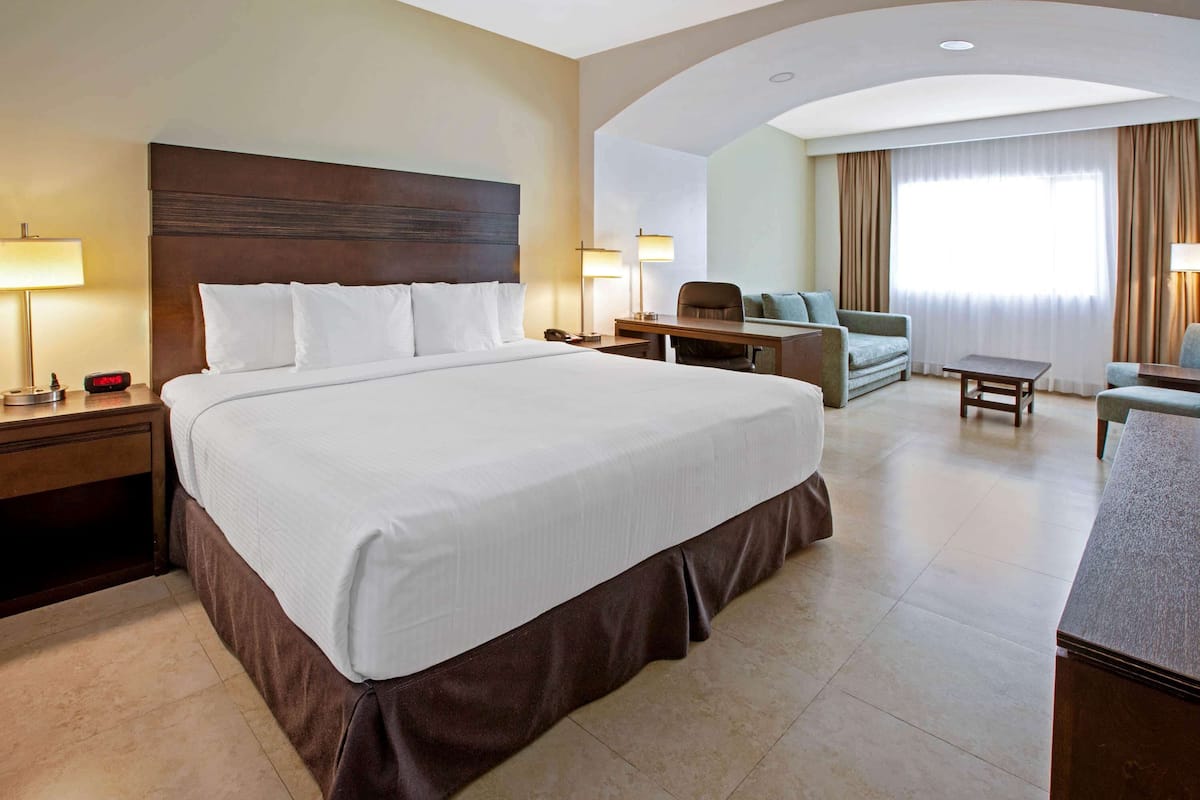 Una habitación de hotel con una cama grande, un escritorio, una silla y un sofá.