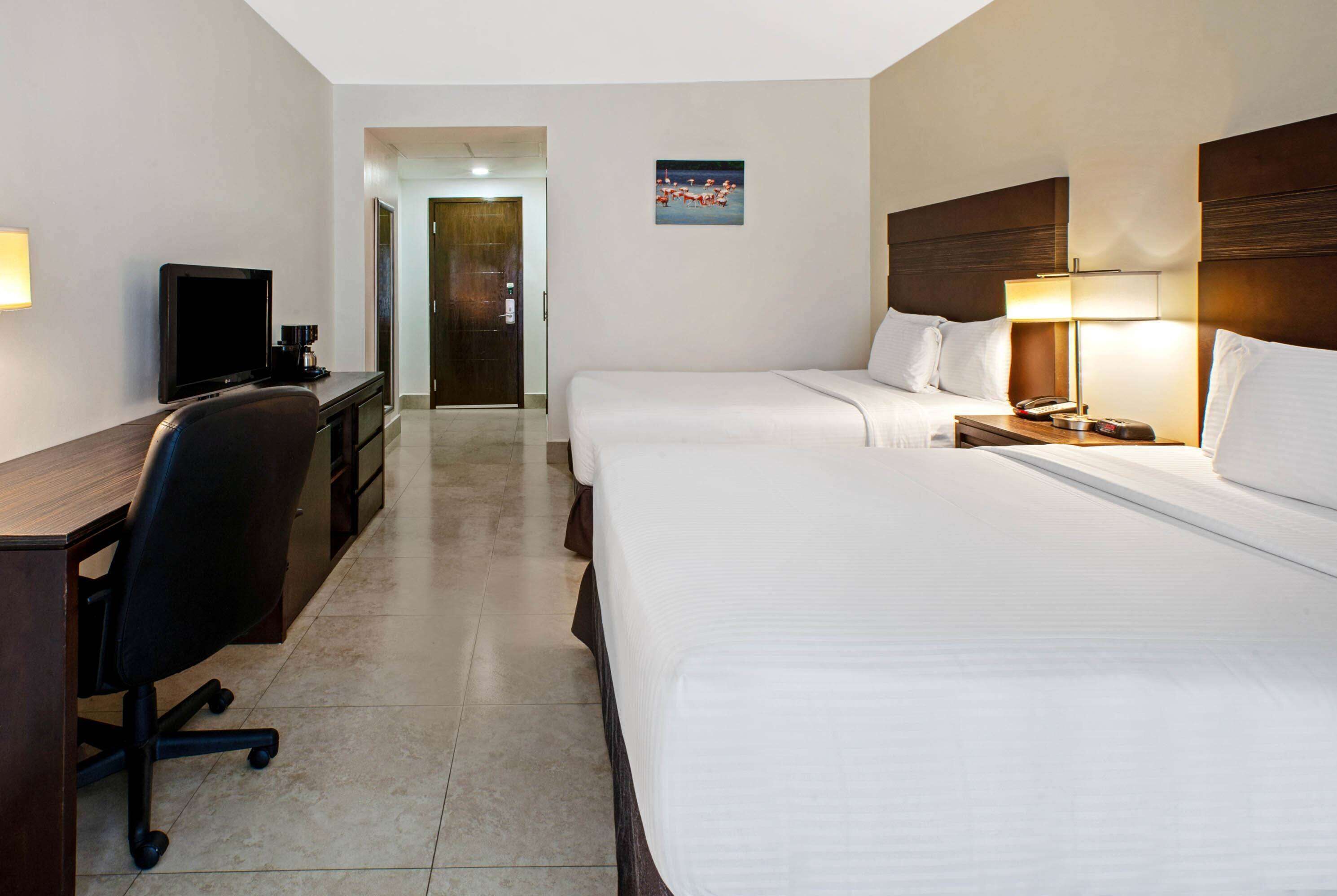 A hotel room with a bed, a desk with a chair, a television, and a nightstand with a lamp.