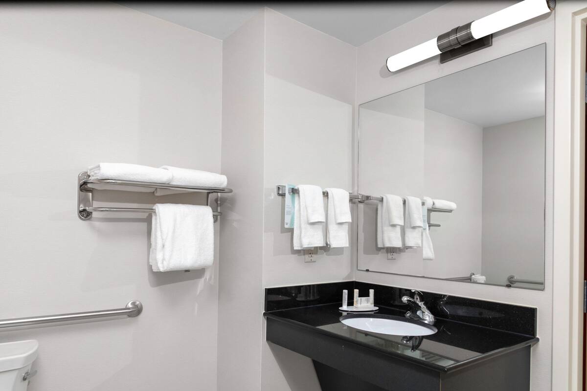 combined shower/bathtub, free toiletries, hair dryer, towels