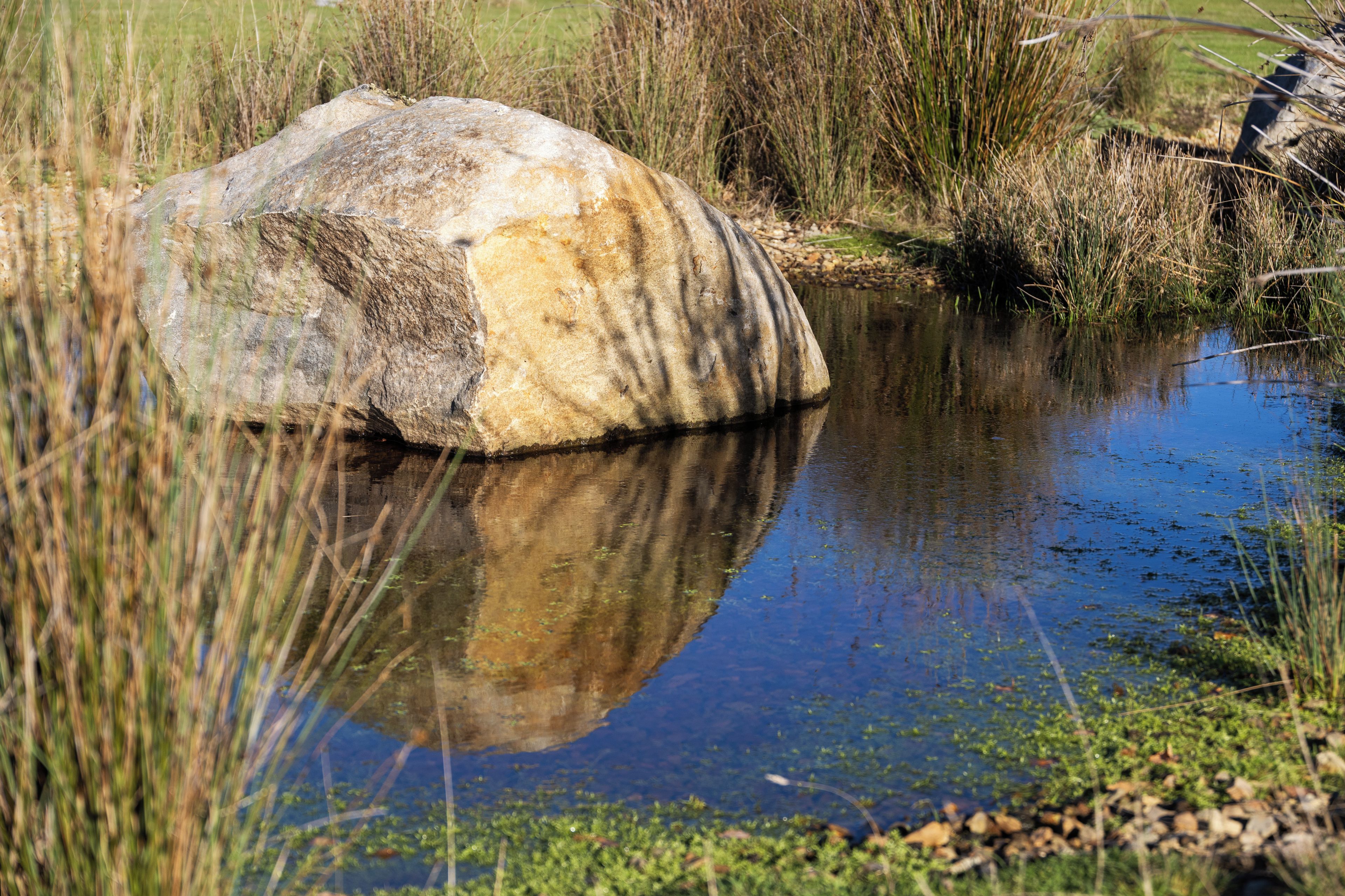 Un paisaje natural con una gran roca en un cuerpo de agua, rodeado de pasto y juncos.