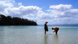 A beach scene with clear water and a distant shoreline. - Bruny Island Escapes and Hotel Bruny (Alonnah)