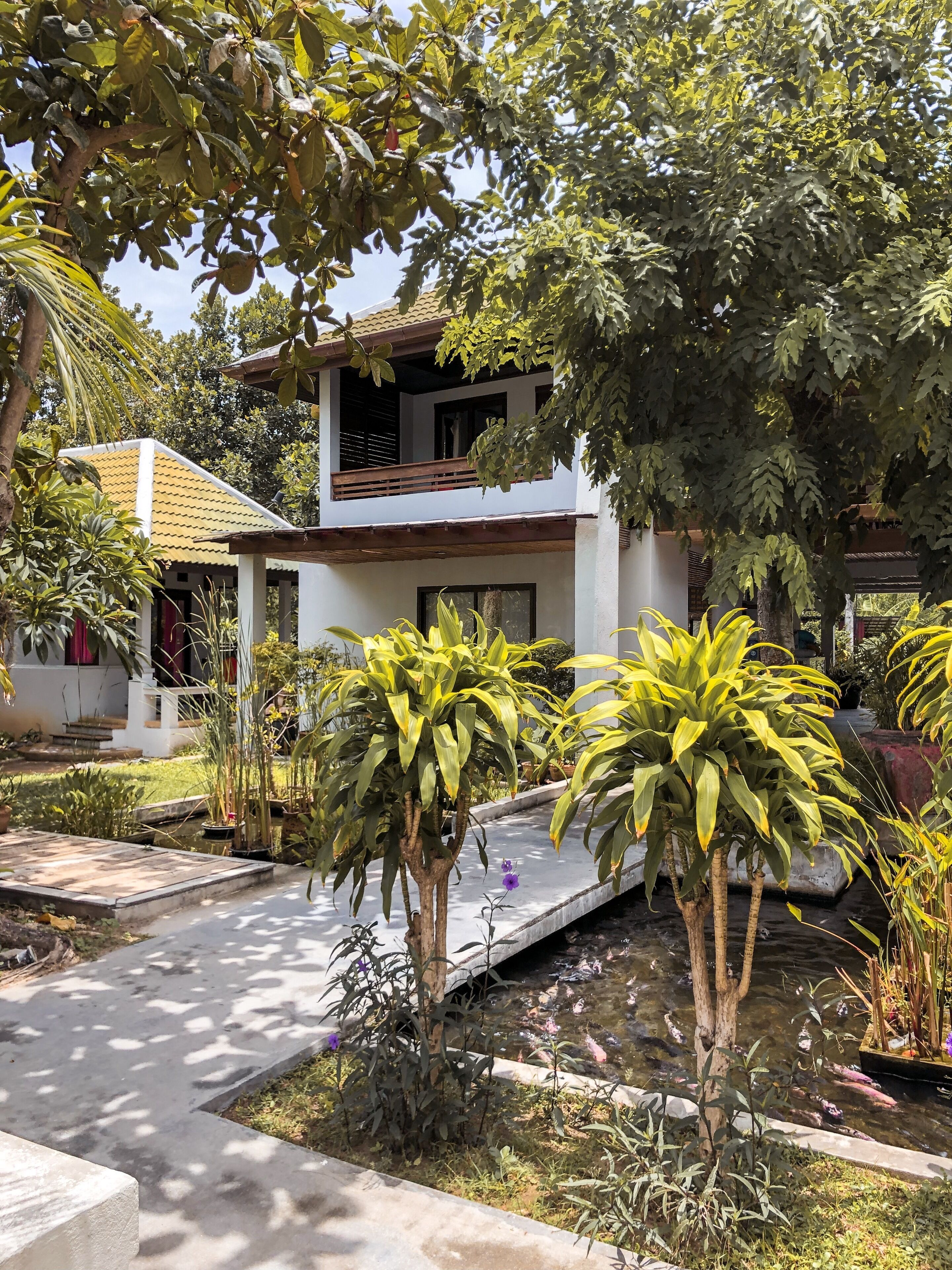 Foto - Samui Honey Cottages Beach Resort - SHA Extra Plus