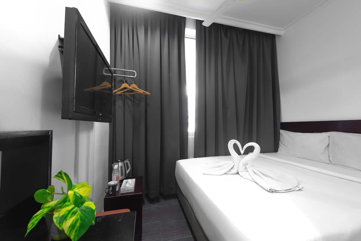 A hotel room with a bed, a TV mounted on the wall, a plant, a coffee maker, and a window with curtains.