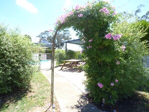 Taman