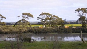 A rural landscape with a body of water, trees, and a distant building.