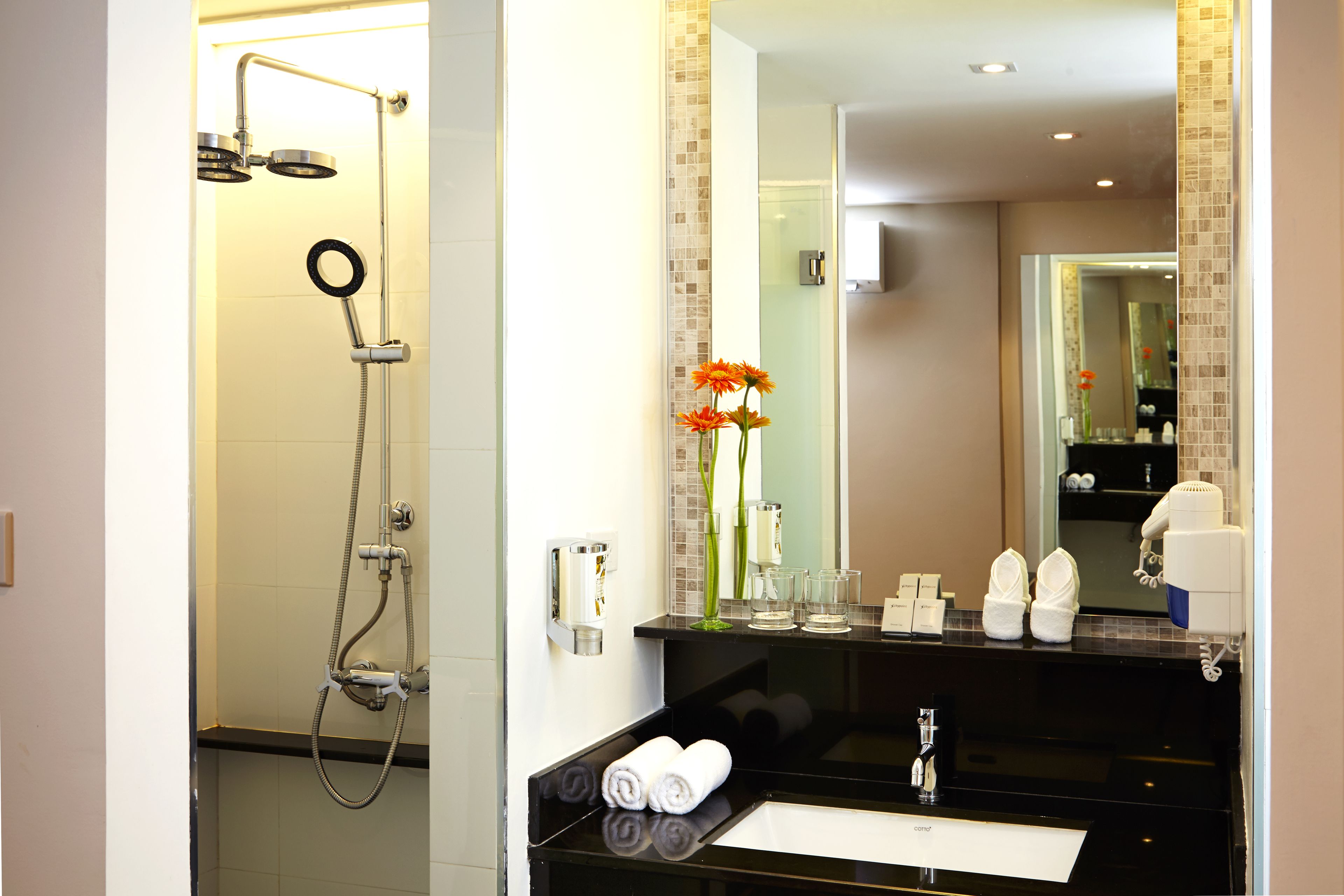 Shower, rainfall showerhead, free toiletries, hair dryer
