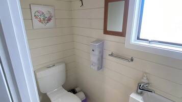 A small, compact bathroom with a toilet, a sink, and a mirror.
