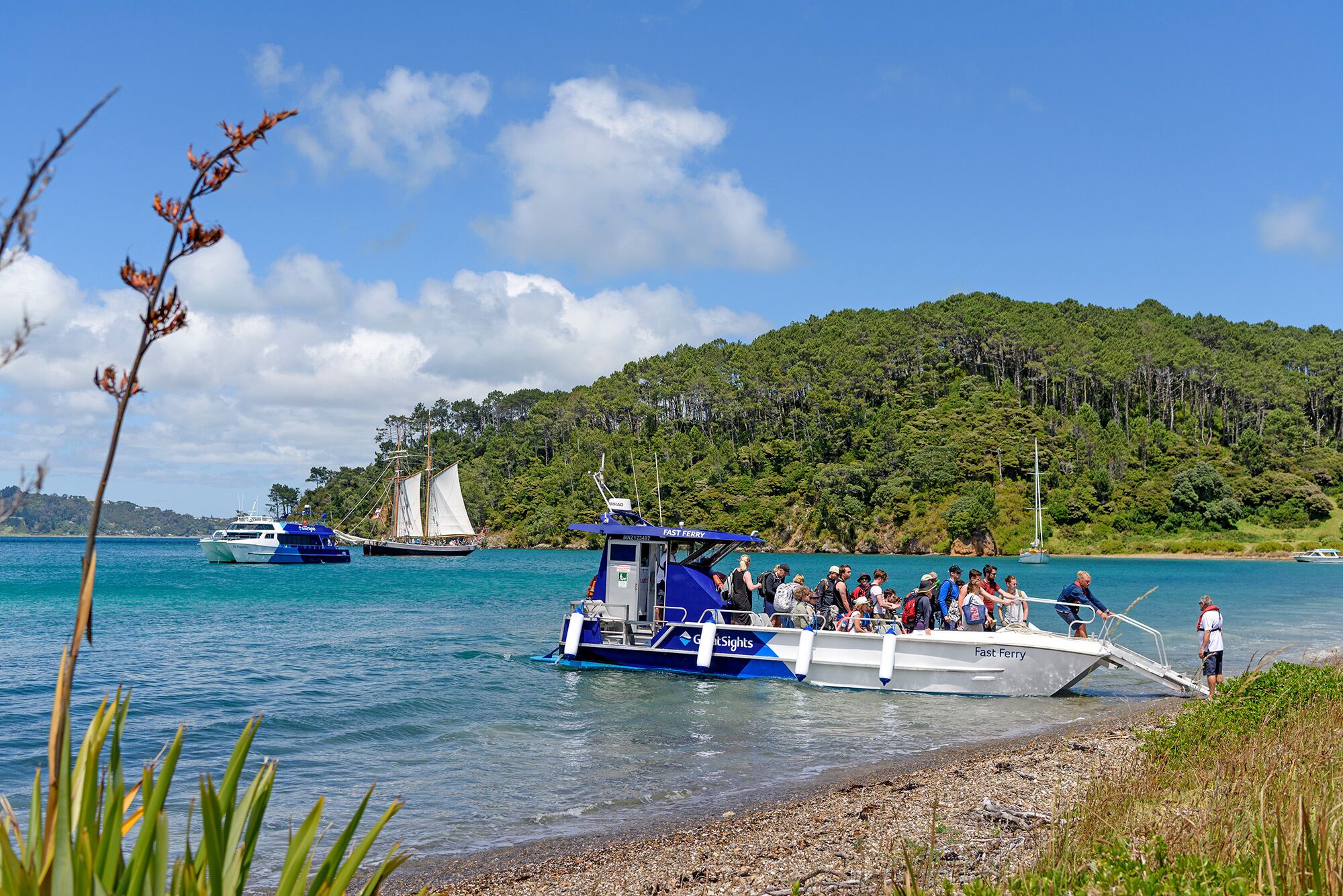 A ferry boat with passengers disembarking at a beach with a forested hill in the background.