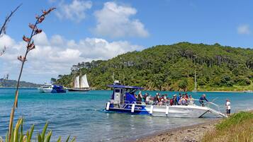 A ferry boat with passengers disembarking at a beach with a forested hill in the background.