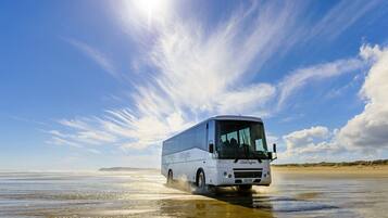 A white bus with "Great Sights" branding driving through shallow water on a beach.