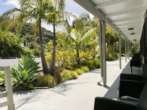 A covered outdoor area with a concrete pathway, surrounded by various tropical plants and palm trees. - Bounty Motel (Paihia)