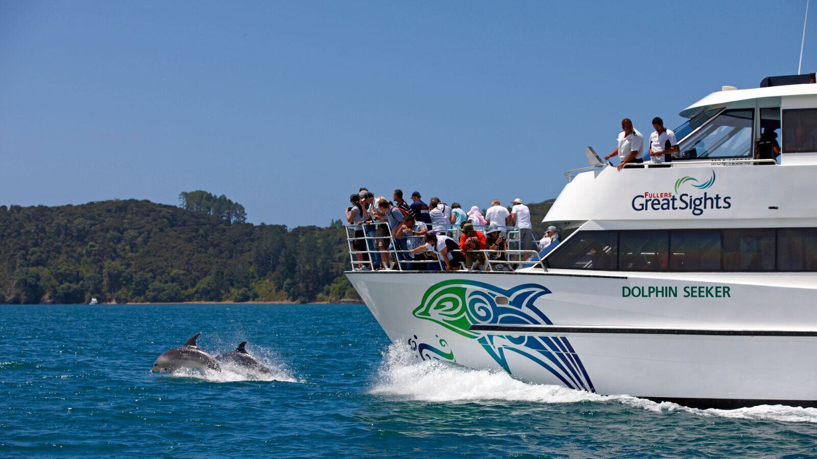 Een boot met een dolfijnen ontwerp en de naam 'DOLPHIN SEEKER' op de zijkant, passagiers op het dek en dolfijnen in het water.