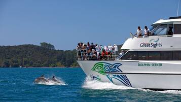 A boat with a dolphin design and the name "DOLPHIN SEEKER" on its side, passengers on deck, and dolphins in the water.