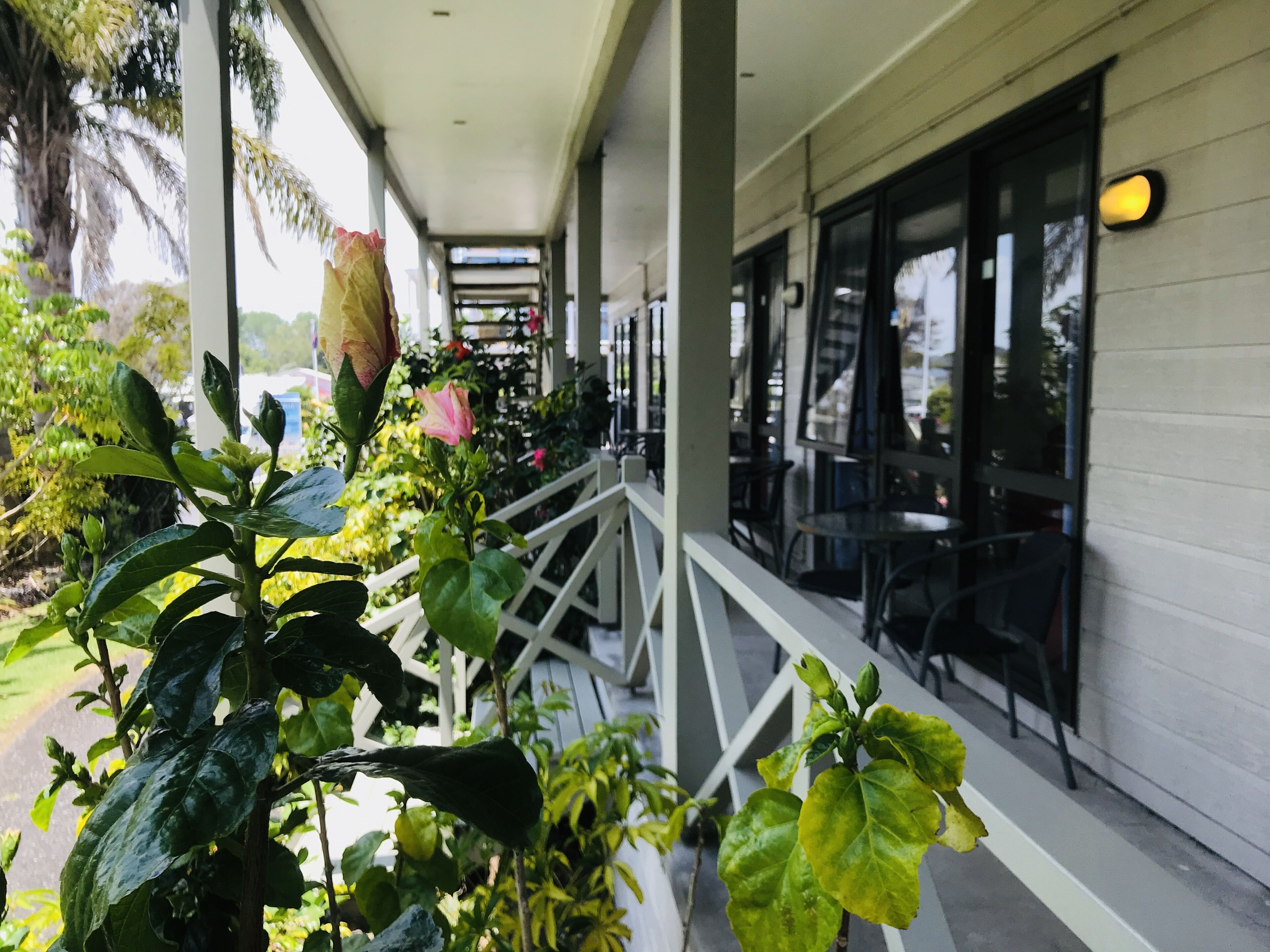 A covered outdoor area with a white railing, potted plants, and a building with large windows and a door.