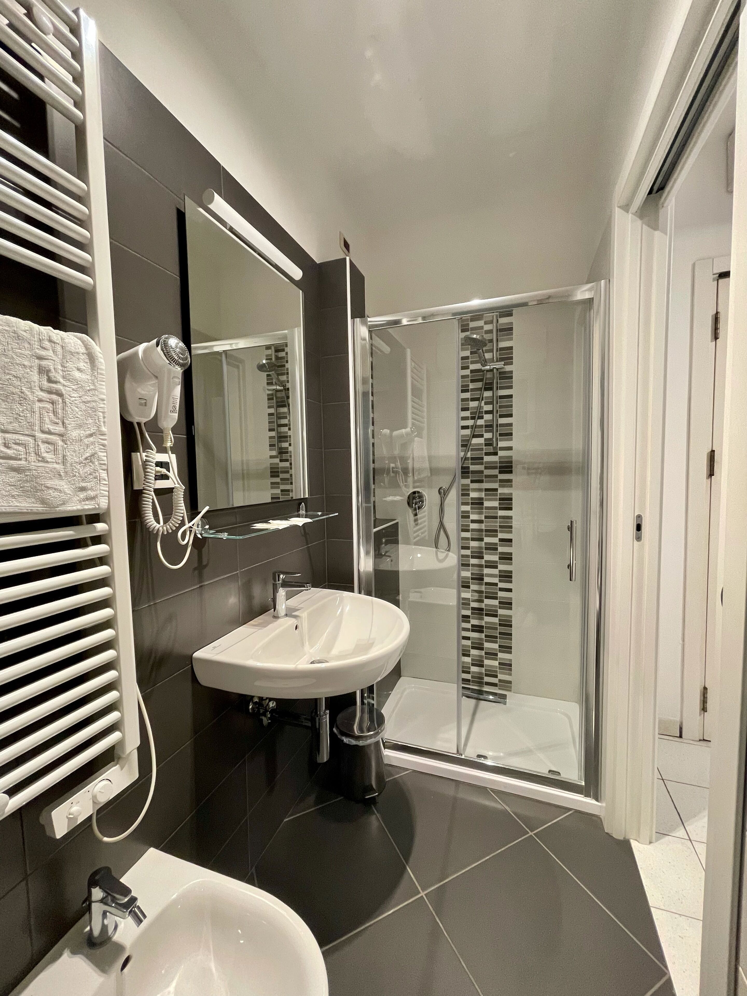 Hair dryer, bidet, towels, soap