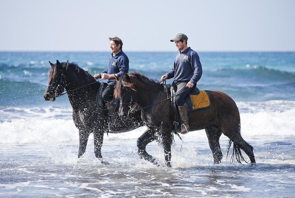 Hotel Rural Binigaus Vell by null