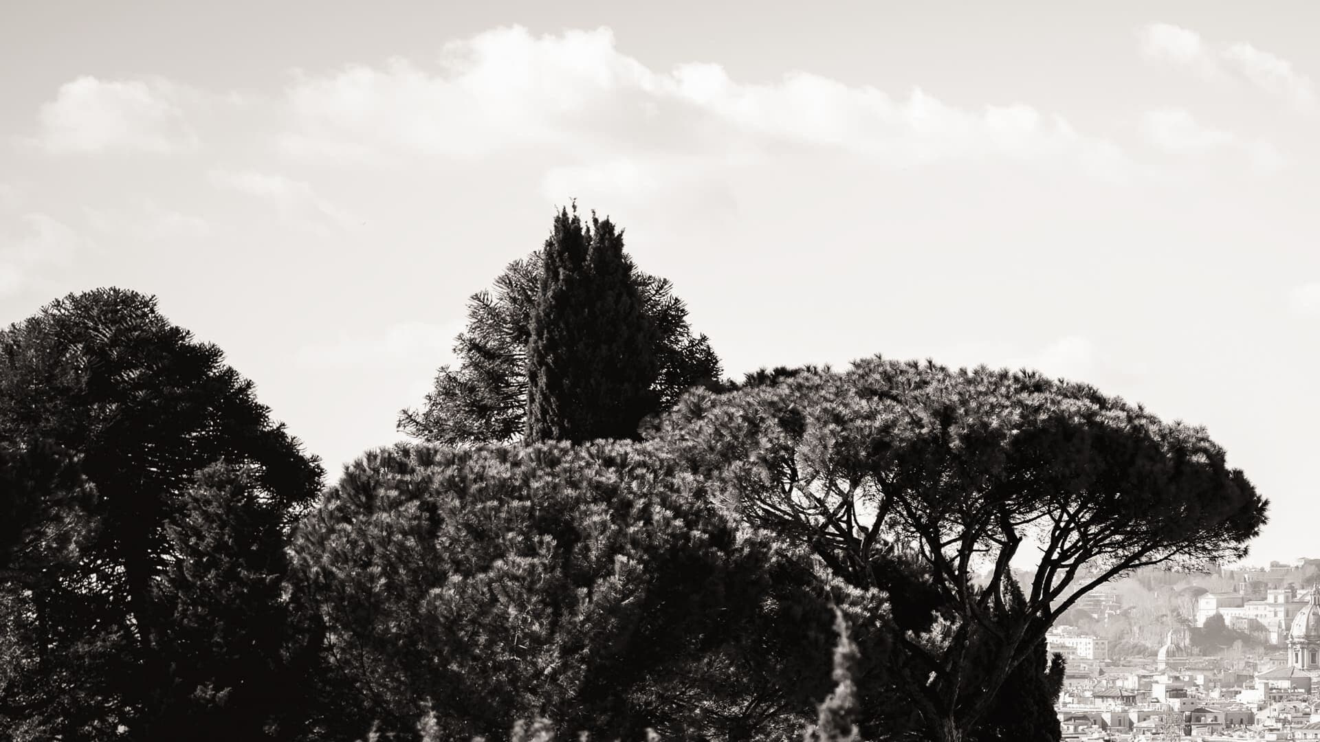 panoramic suite | terrace/patio