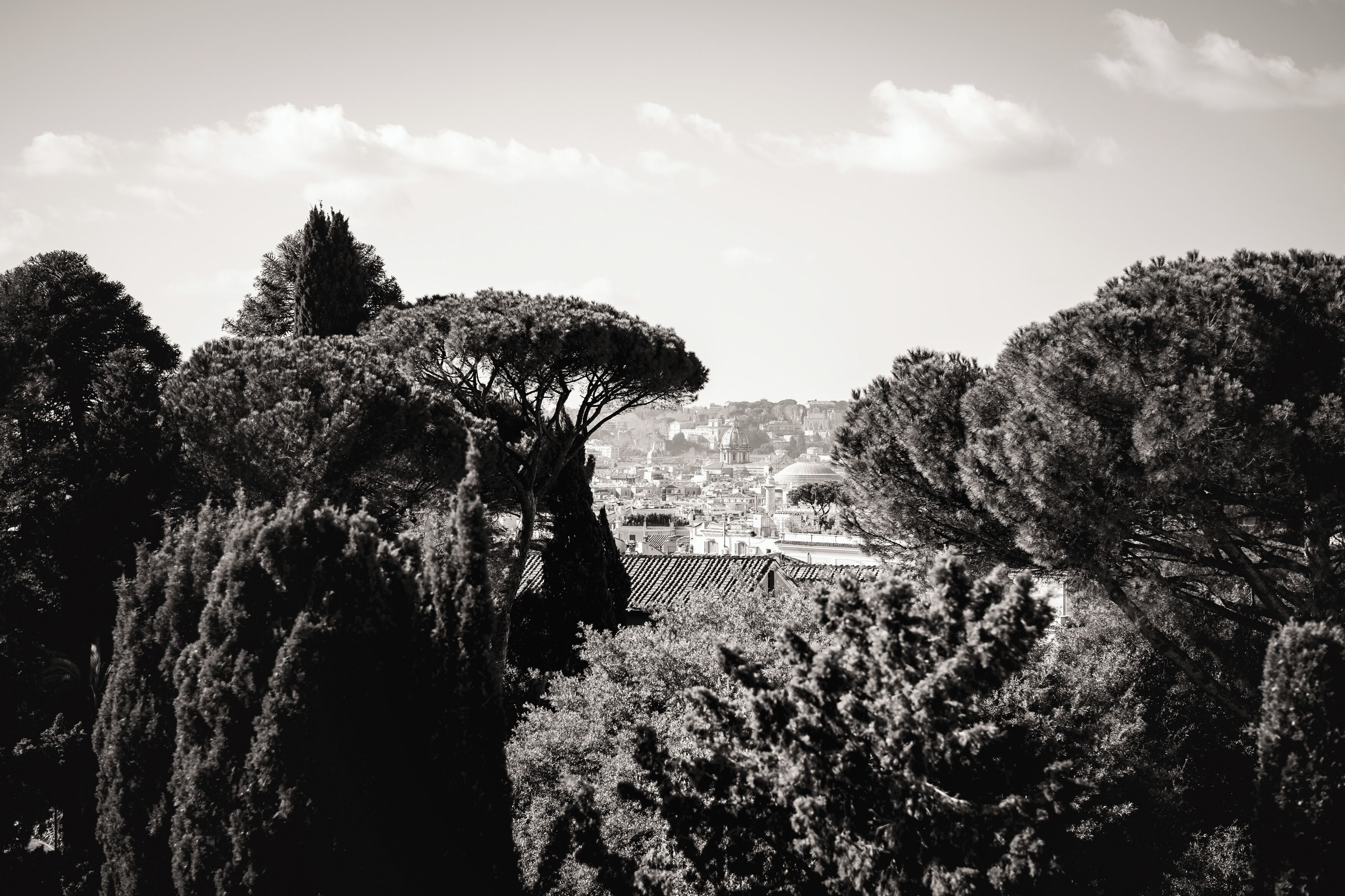 panoramic suite | terrace/patio