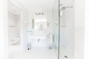 Rainfall showerhead, free toiletries, hair dryer, bidet