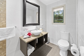 Shower, hair dryer, towels, soap