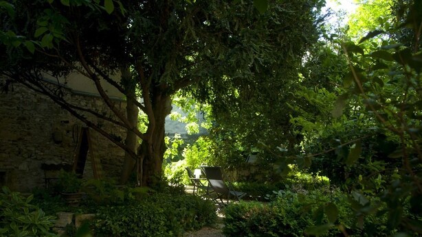 A gravel path leading through a garden with dense foliage and a stone wall. - Résidence Les Blanches Provençales (Selonnet)