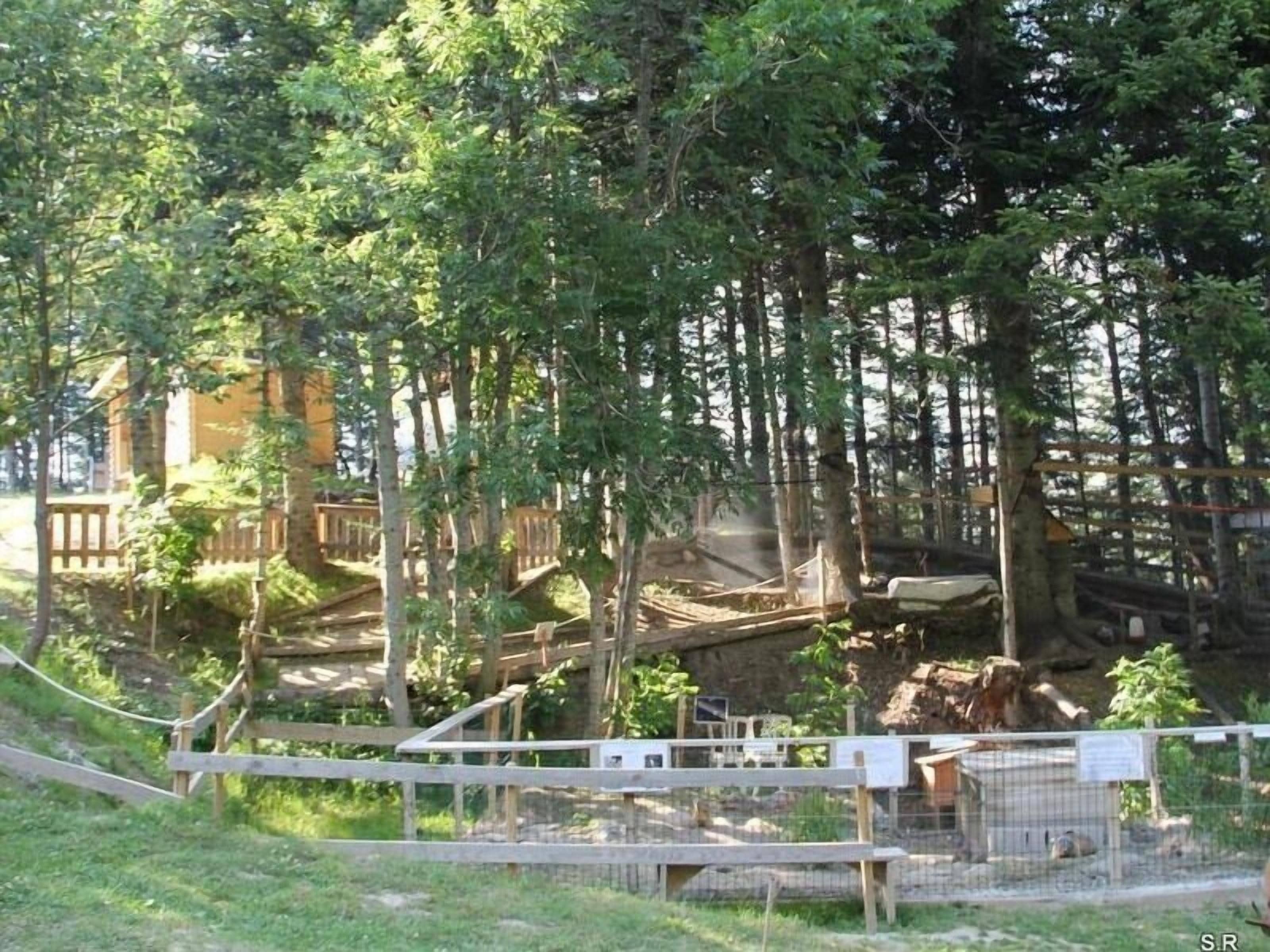 Un recinte de zoo amb estructures de fusta, una zona tancada i arbres densos.
