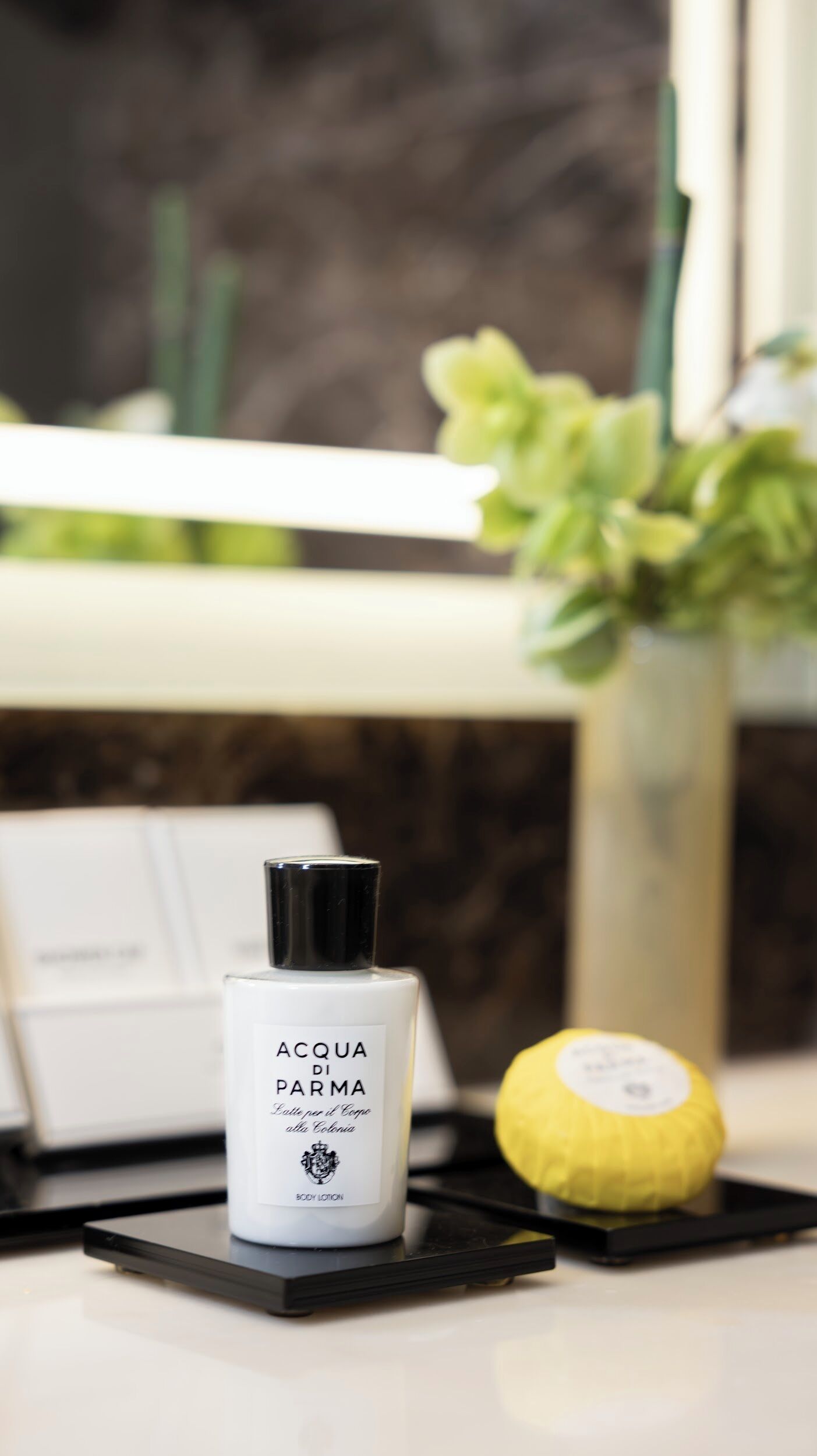 suite (art) | bathroom | rainfall showerhead, free toiletries, hair dryer, bathrobes