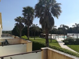Terraza en la azotea con palmeras, zona de piscina y cielo despejado.