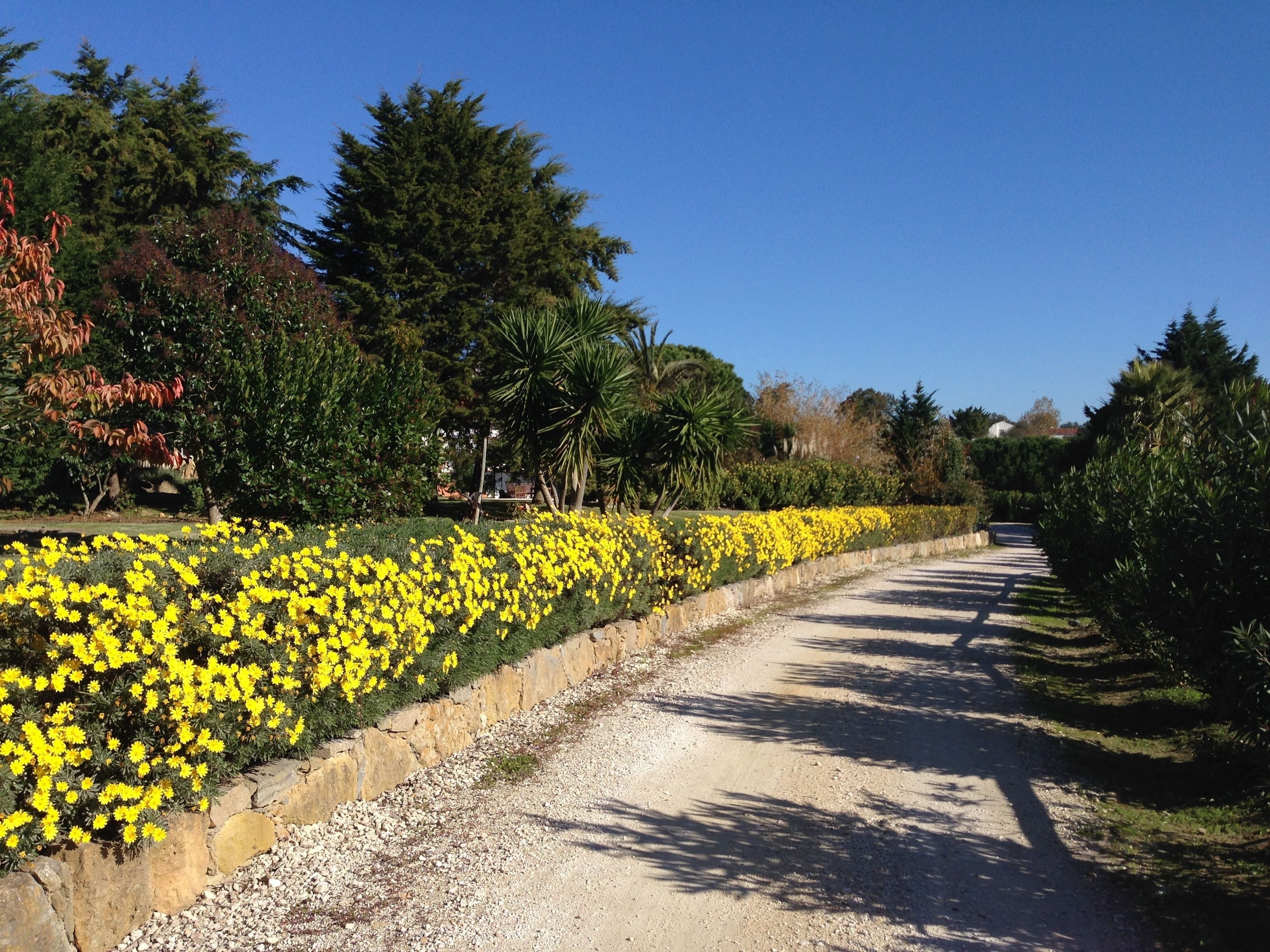 Photo - Quinta Verde Sintra - Casa de Campo
