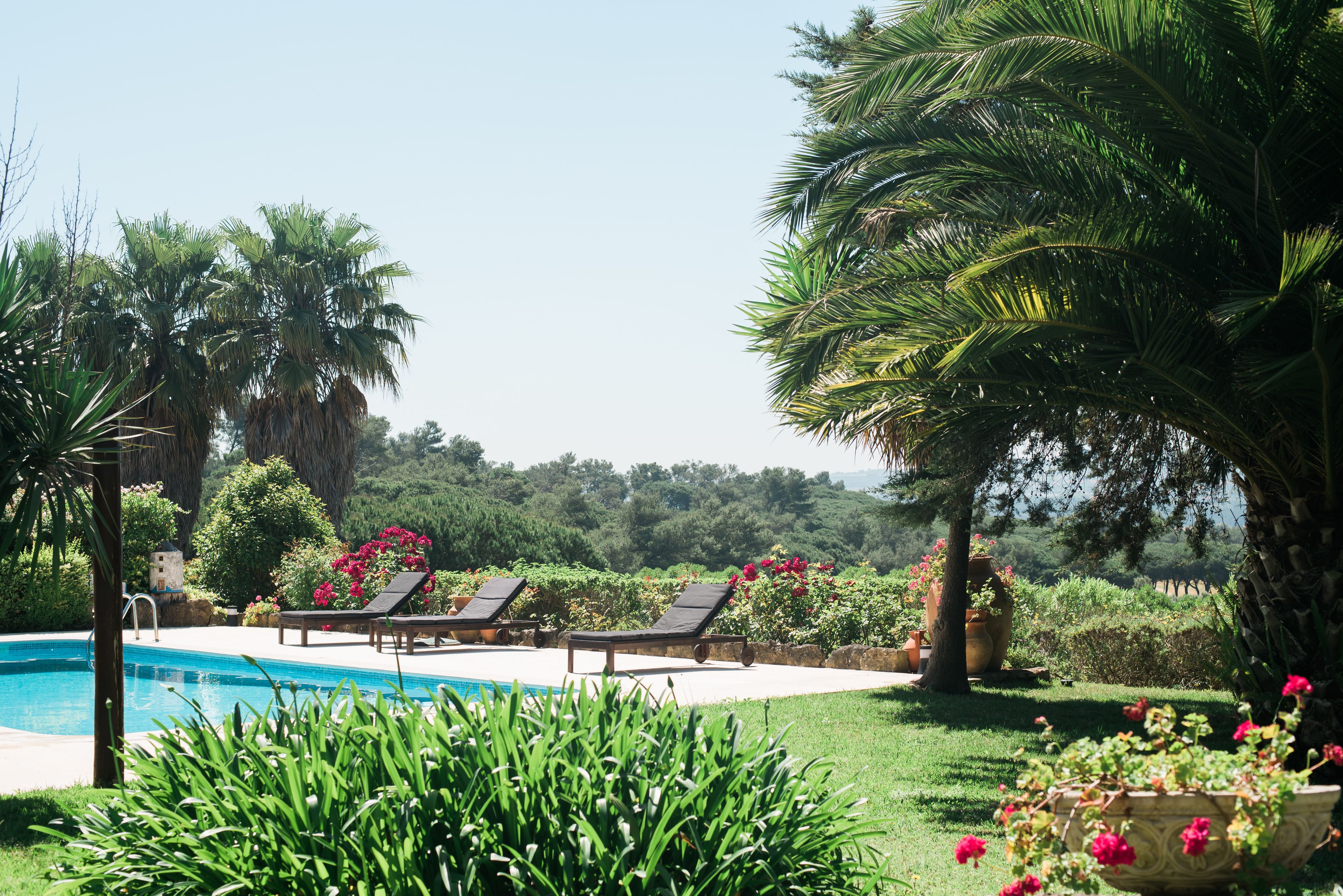 Un área de piscina con sillas de descanso, palmeras y vistas del paisaje circundante.