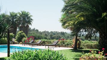 Un área de piscina con sillas de descanso, palmeras y vistas del paisaje circundante.