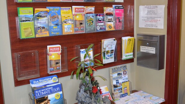 A reception desk with a wooden finish, a potted plant, and a display of travel brochures and maps. - Sydney City Hostel (Haymarket)