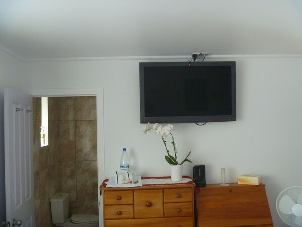 Un baño con tocador de madera, televisor montado en la pared, zona de ducha y un inodoro.