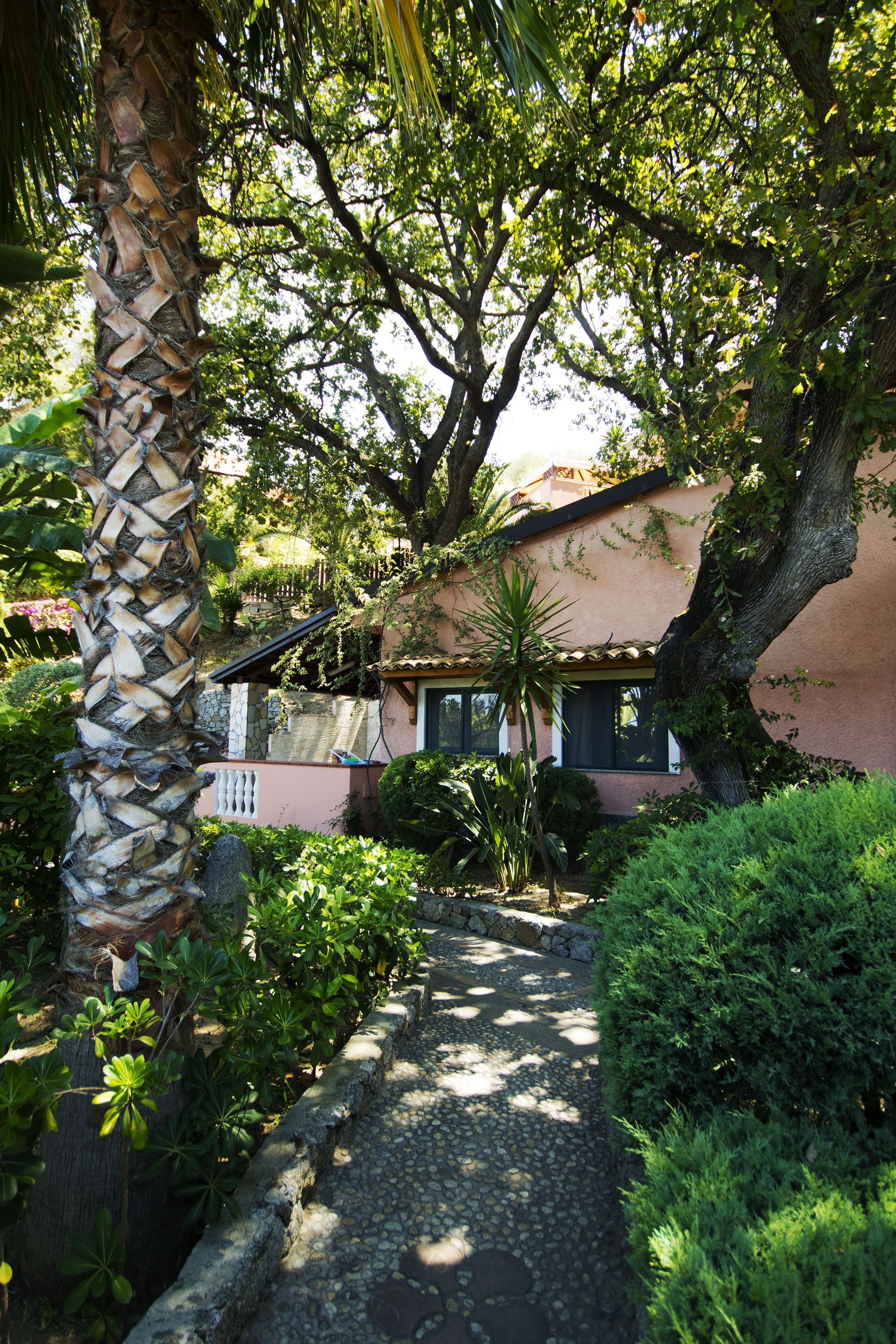 A pathway leading to a building surrounded by lush greenery and a palm tree.