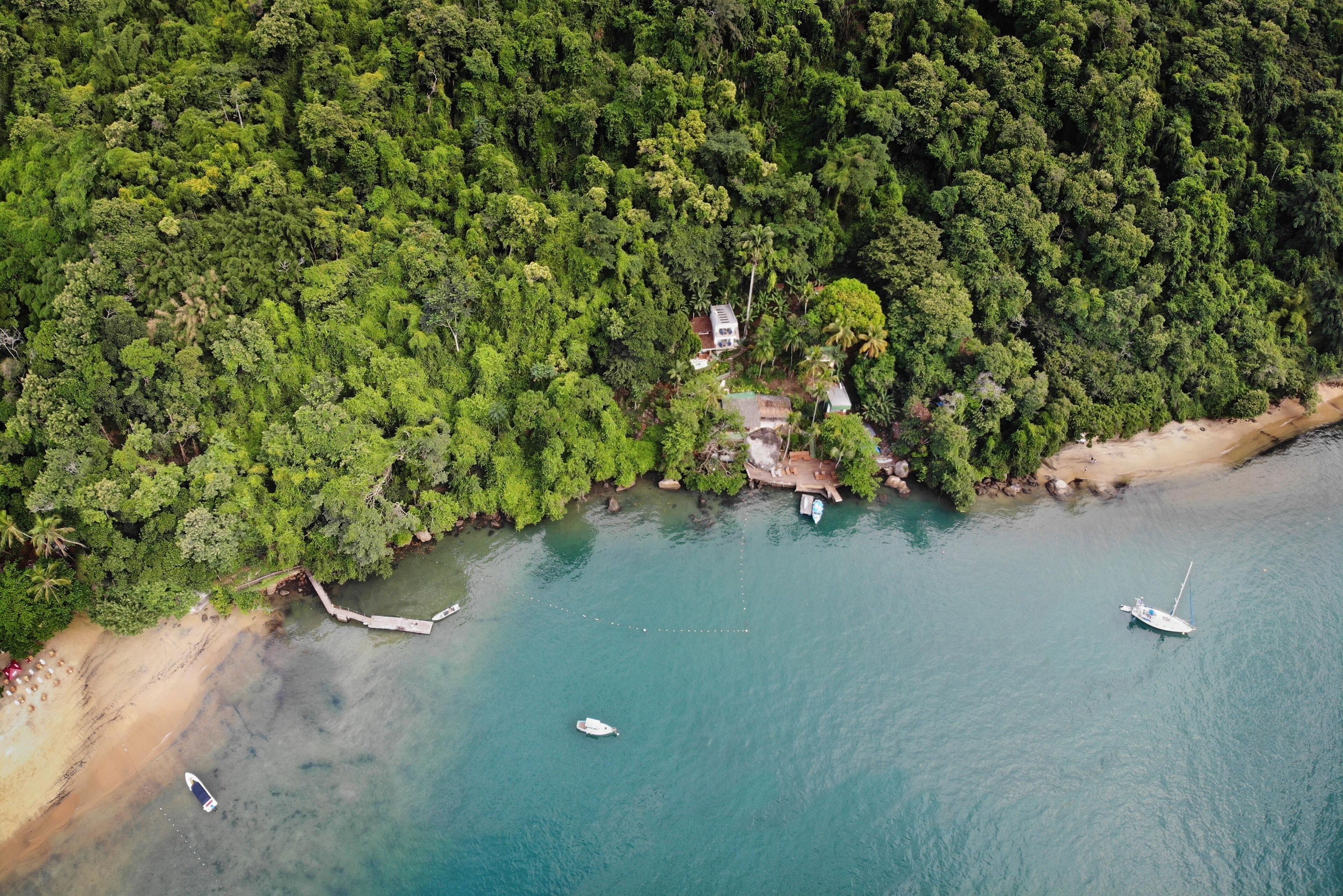 Une vue aérienne d’une zone côtière avec une forêt dense, une plage de sable et plusieurs bateaux.
