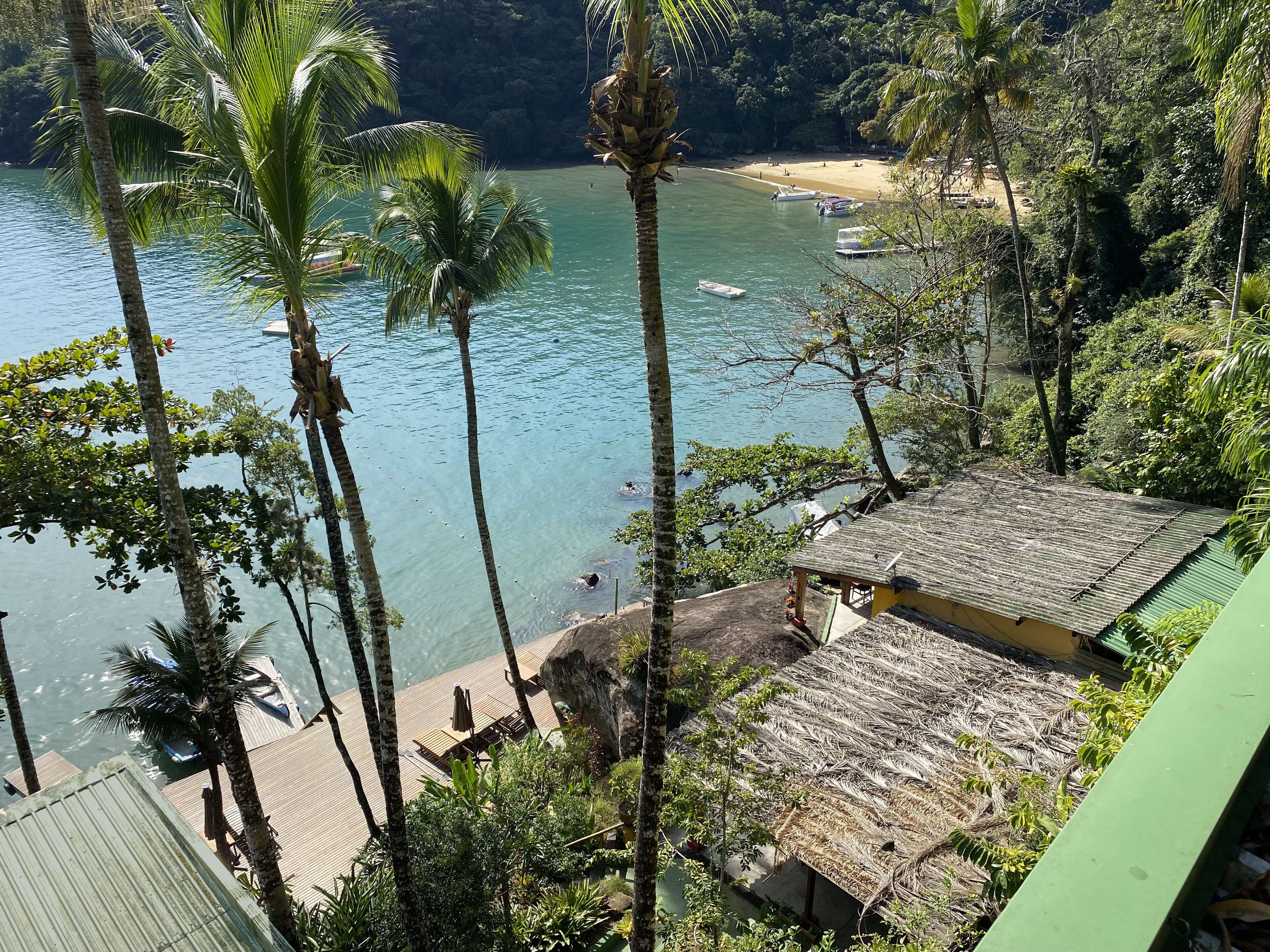 A tropical beach with palm trees, a wooden dock, and a thatched-roof hut.