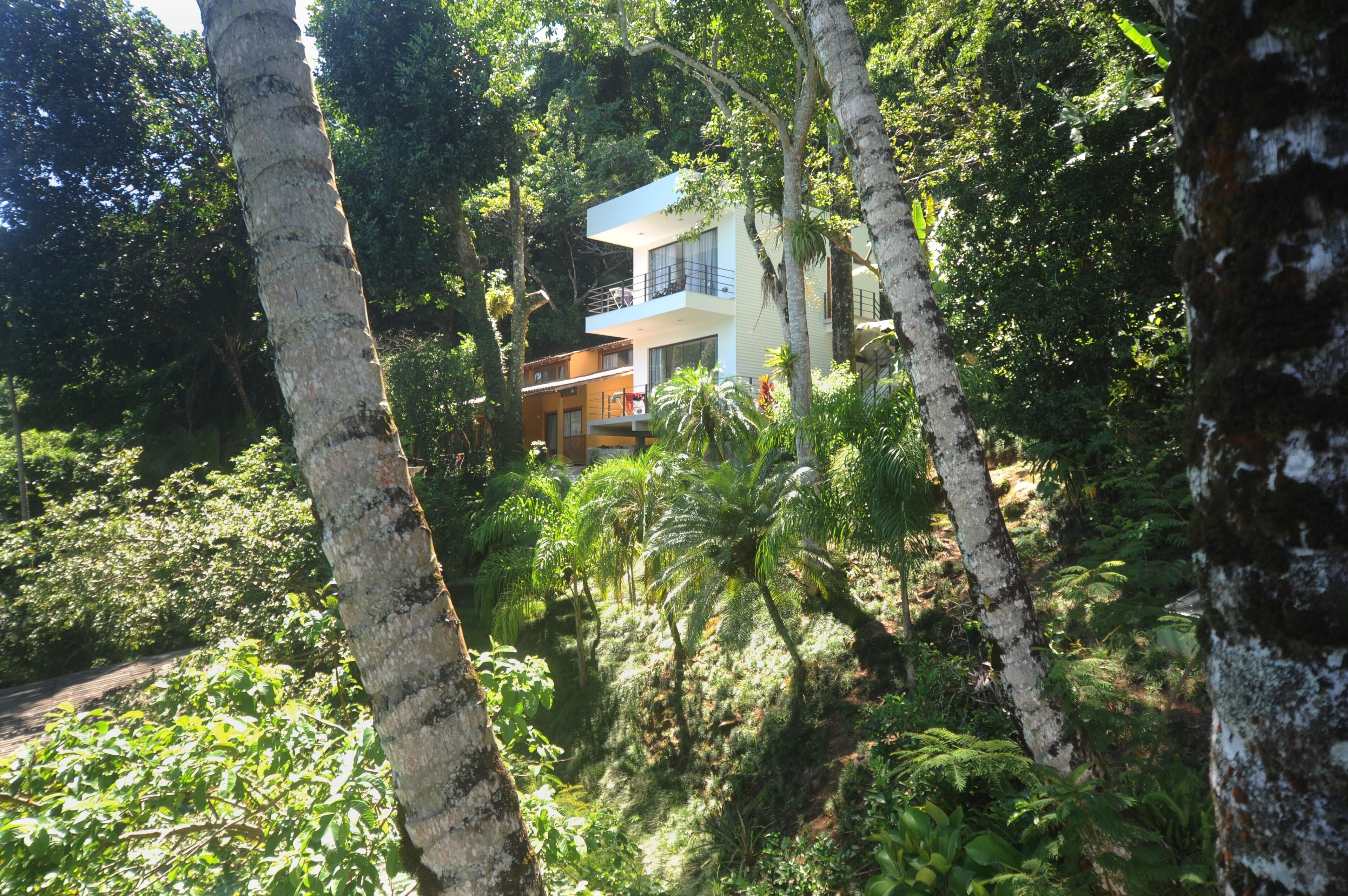 A modern house surrounded by dense tropical vegetation.