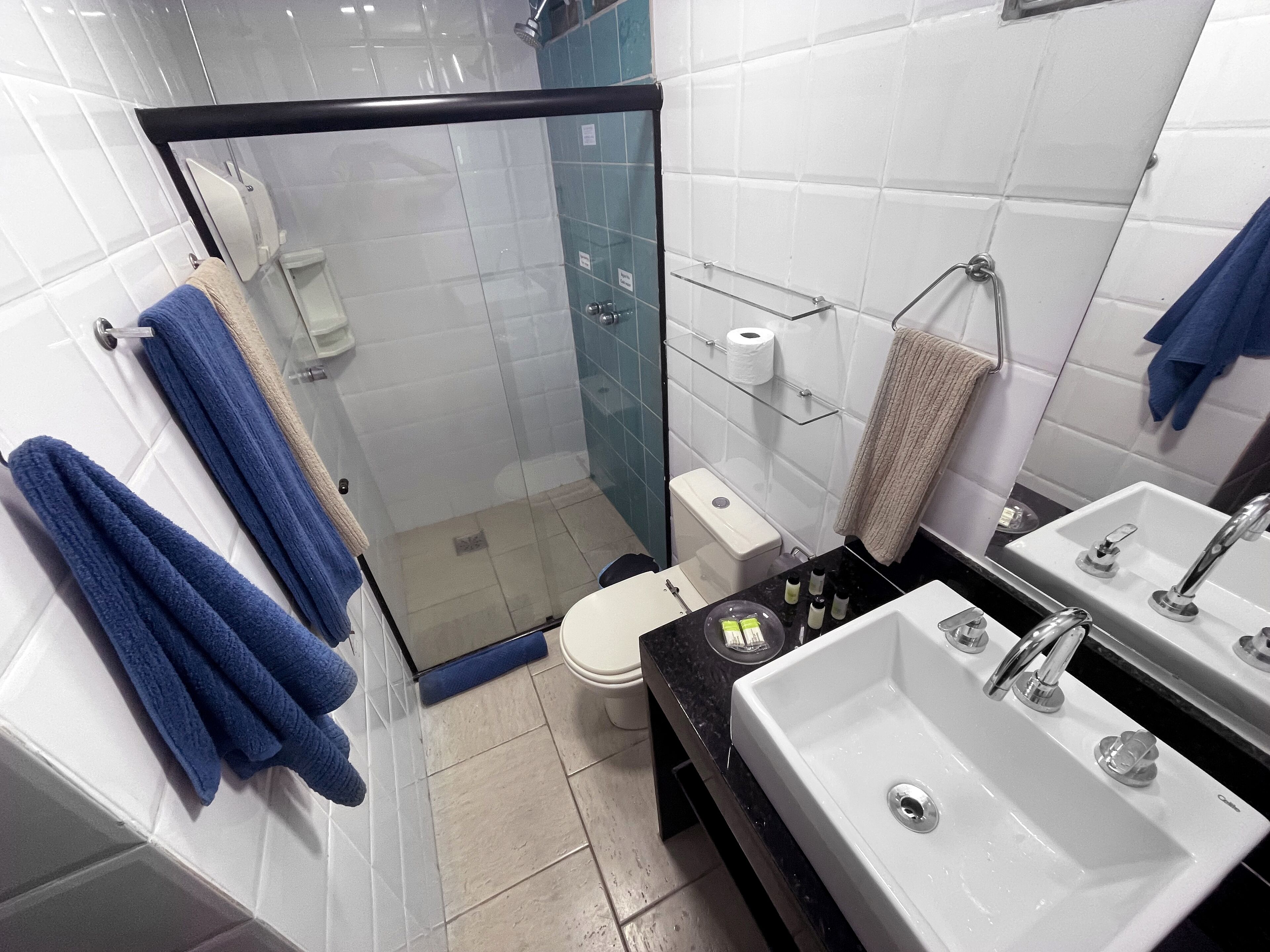 A modern bathroom with a glass-enclosed shower, a toilet, a sink, and a mirror.