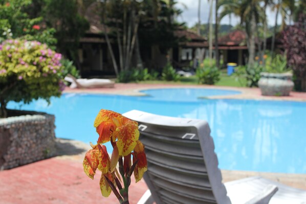 Outdoor pool, pool umbrellas, pool loungers