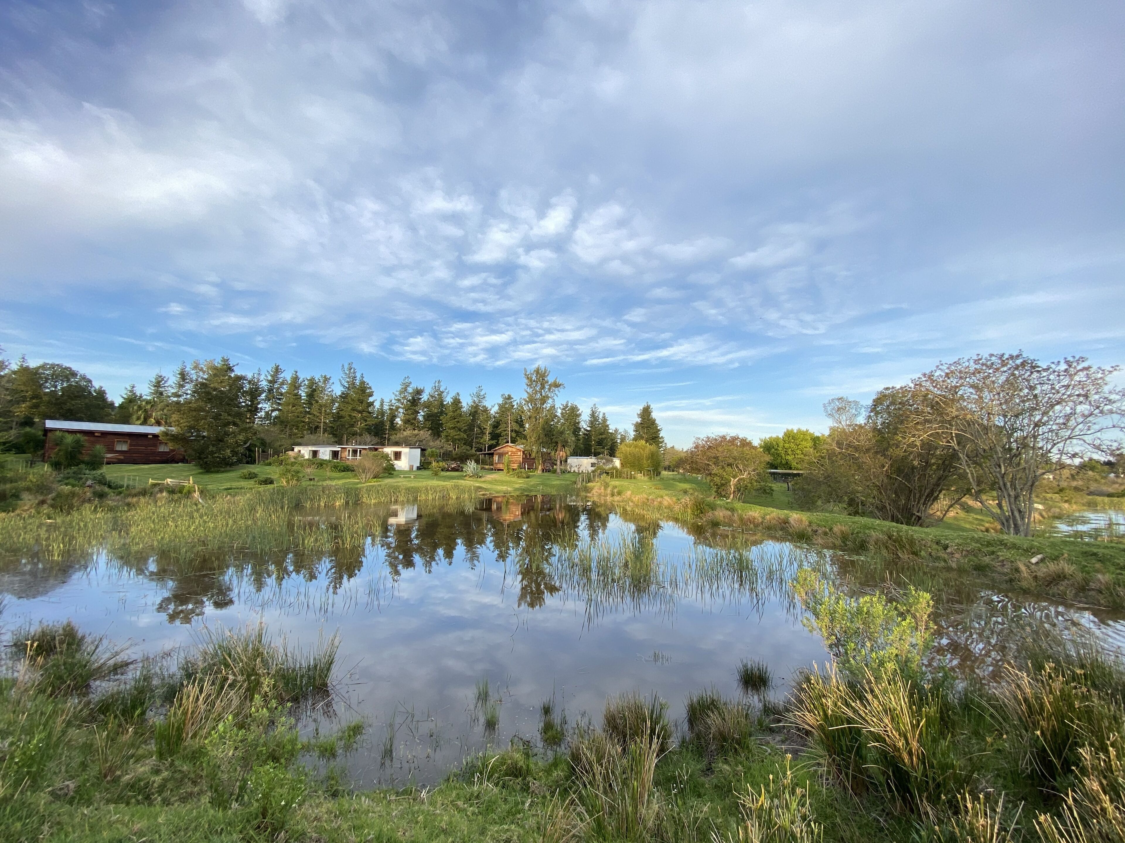 A serene lakeside setting with a wooden cabin and a small house, surrounded by lush greenery and trees.