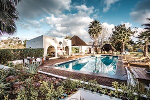 Uma área à beira da piscina com piscina, espreguiçadeiras e plantas em vasos.